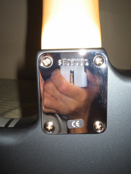 serial plate
